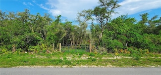 8115 Shasta St, Webster, FL 33597