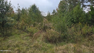 2077 County Line Rd W, Summit, MS 39666