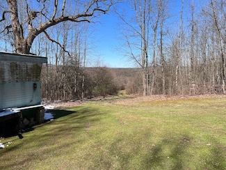 0 Bunker Hill Rd Unit LotWP001, Randolph, NY 14772