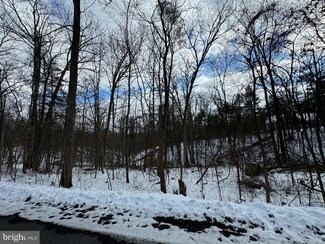 Lot 316 Sycamore Rd, Basye, VA 22842