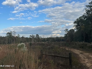 0 Fruitland Park Rd, Wiggins, MS 39577