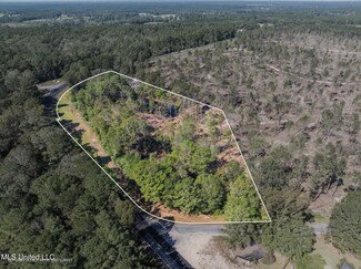 6.16 +/- Acres Shirley Sanford Rd, Seminary, MS 39429