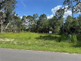 0 E 2nd Ave, Lake MacK-forest Hills, FL 32720