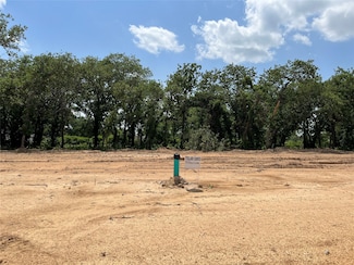 449 Peace Lily Way, Tolar, TX 76476