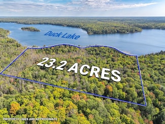 Off Duck Lake Rd E, Land O Lakes, MI 49969