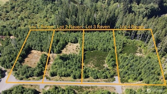 9999 King Johns-Lot 3 Raven Way, Forks, WA 98331