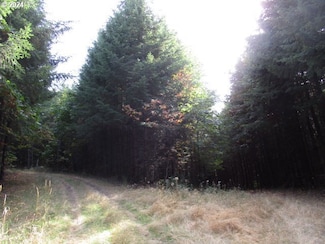 00 NW Crane Ln, Yamhill, OR 97148