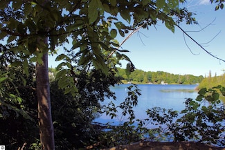 00 Cedar St, Central Lake, MI 49622