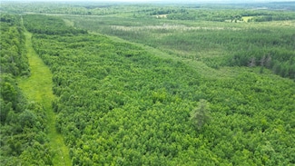 80 Acres Wisconsin 40, Radisson, WI 54867
