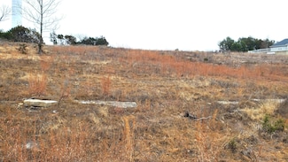 253 Silver Sunset Ln, Kimberling City, MO 65686