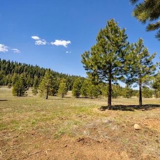Lot 28 To Be Determined Unit 28, McCall, ID 83638