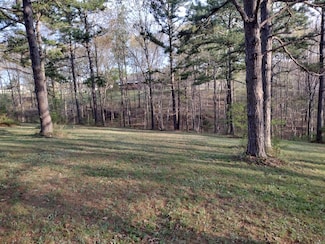 lot 28 Tournament Dr, Mountain View, AR 72560