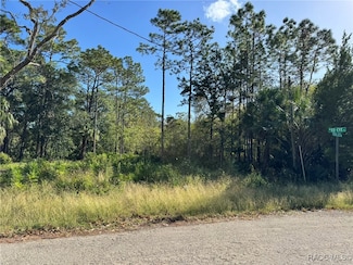 7897 W Stuart Ln, Homosassa, FL 34448