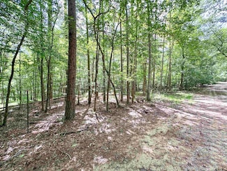 0 An County Road 3194 Unit 25011016, Frankston, TX 75763