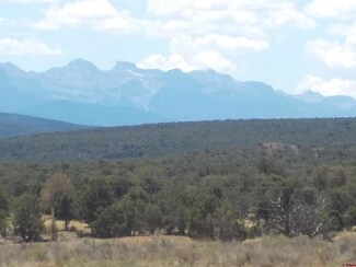 124 Cimarron Mesa Rd, Montrose, CO 81403