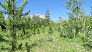 58 Sky Pilot Dr, Wildernest, CO 80498