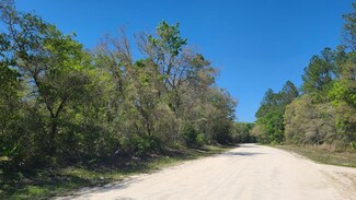 Lot 50 NE 770th St, Old Town, FL 32686