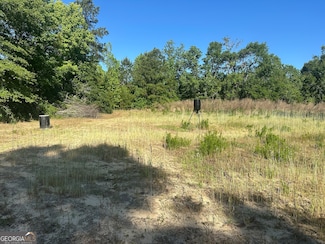 0 Bull Branch Rd, Midville, GA 30441