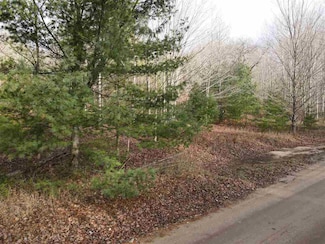 TBD Cosier Rd, East Jordan, MI 49727