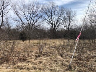 10264 NE Highway 52, Windsor, MO 65360