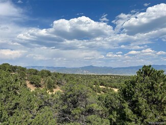12240 Saddle Ridge Ln, Salida, CO 81201