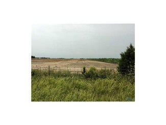 0 Jerry City Unit 5029541, Cygnet, OH 43413