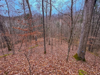 0 County Road 30 Unit 11616318, MacFarlan, WV 26148