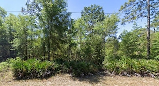 7350 W Village Dr, Homosassa Springs, FL 34446