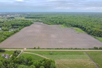 001 VL E North County Line Rd, Coleman, MI 48617