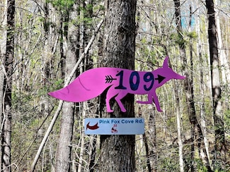 99999 Pink Fox Cove Rd, Weaverville, NC 28787