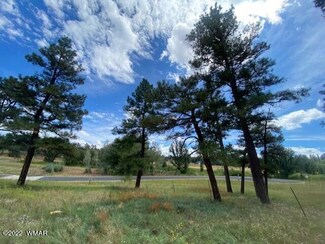1420 S Lakeside Trail Unit Lot 28, Show Low, AZ 85901