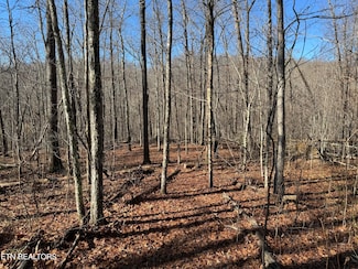 0 E Cove Rd Unit 4 1252725, Monterey, TN 38574