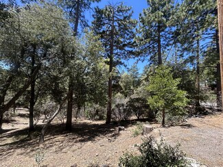 0 Pine Cove Rd Unit 2010995, Pine Cove, CA 92549