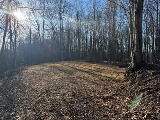 31203 Hardwood Dr, Meadowview, VA 24361