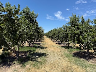 0 Euclid Ave Unit 225032256, Hughson, CA 95326