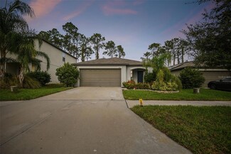 7082 Emerald Spring Loop, New Port Richey, FL 34653