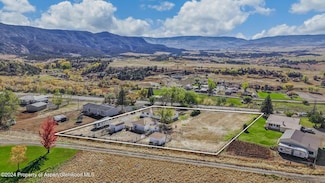 58892 Highway 330 E, Collbran, CO 81624