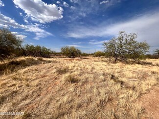 16525 W Roundup Place Unit 52, Three Points, AZ 85736