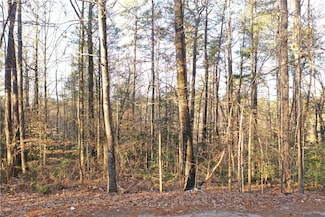 611 the Bear Blvd, Tamassee, SC 29686