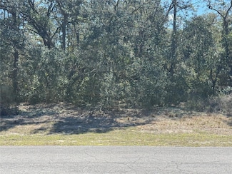 Lot 6 SW 146th Lane Rd, Ocala, FL 34473