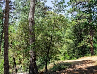 0 Cedarwood Ln, Placerville, CA 95667