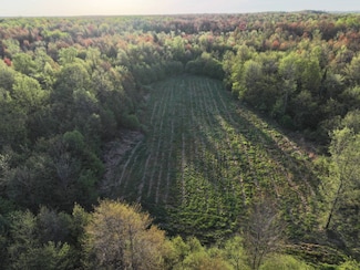 N2060 Meridian Rd, Prentice, WI 54556