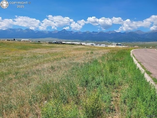 70 Mineral Rd, Westcliffe, CO 81252