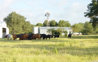 1700 Bruce Rd, Poteet, TX 78065