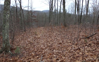 21 Thunder Rd, Hayesville, NC 28904