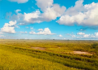 0-4.988 acres Farm To Market Road 2918, Brazoria, TX 77422