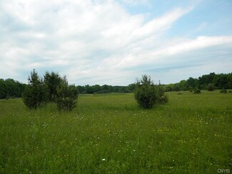 134 Chwalek Rd, Richford, NY 13835