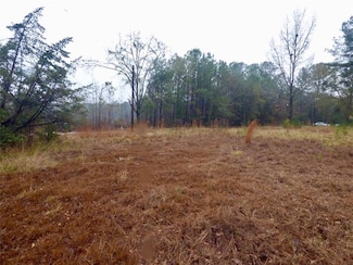 Cobb Street, Hurtsboro, AL 36860