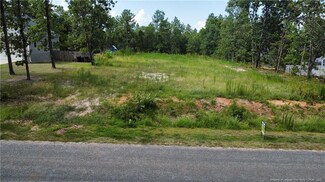 335 D L Phillips Ln, Broadway, NC 27505
