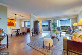 5904 Mount Eagle Dr Unit 1004, Alexandria, VA 22303